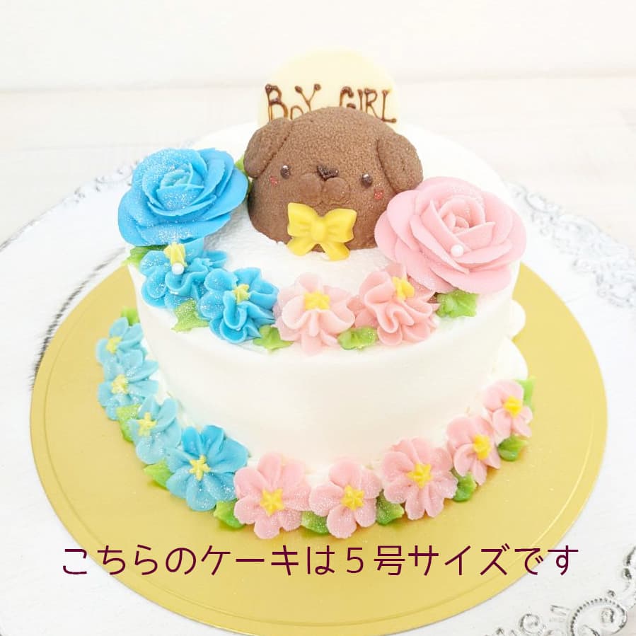 富士市かわいいケーキ屋さんテテのジェンダーリビールケーキ